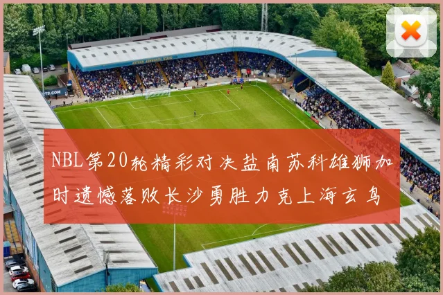 NBL第20轮精彩对决盐南苏科雄狮加时遗憾落败长沙勇胜力克上海玄鸟