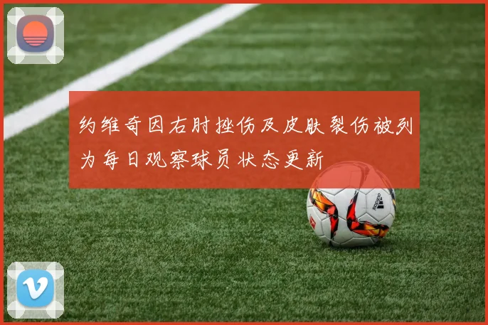 约维奇因右肘挫伤及皮肤裂伤被列为每日观察球员状态更新