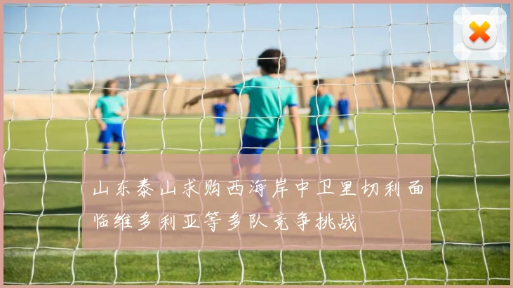 山东泰山求购西海岸中卫里切利面临维多利亚等多队竞争挑战