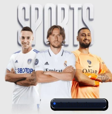 天博体育 APP - TianBoSports